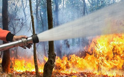 Acasa 8 Anunt important