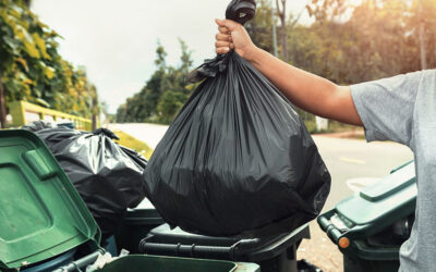 Acasa 4 Obligații ale cetățenilor privind aprobarea Programului de măsuri de îmbunătățire a activității de gospodărire și înfrumusețare a comunei Sohatu, județul Călărași