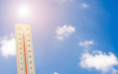 Acasa 8 Recomandări cadru pentru prevenirea incidentelor în timpul perioadelor de temperaturi extreme