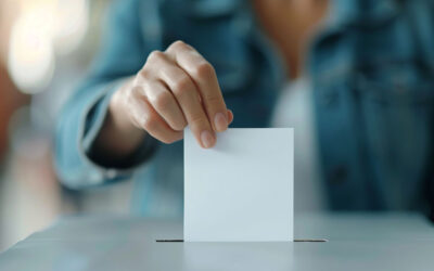 Publicație privind delimitarea și numerotarea secțiilor de votare